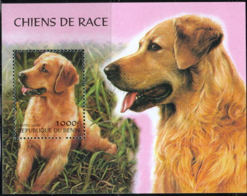 2000年ベニン共和国　ゴールデン・レトリーバーの切手シート