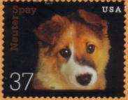 2002年アメリカ合衆国　「NEUTER OR SPAY」がテーマの犬切手