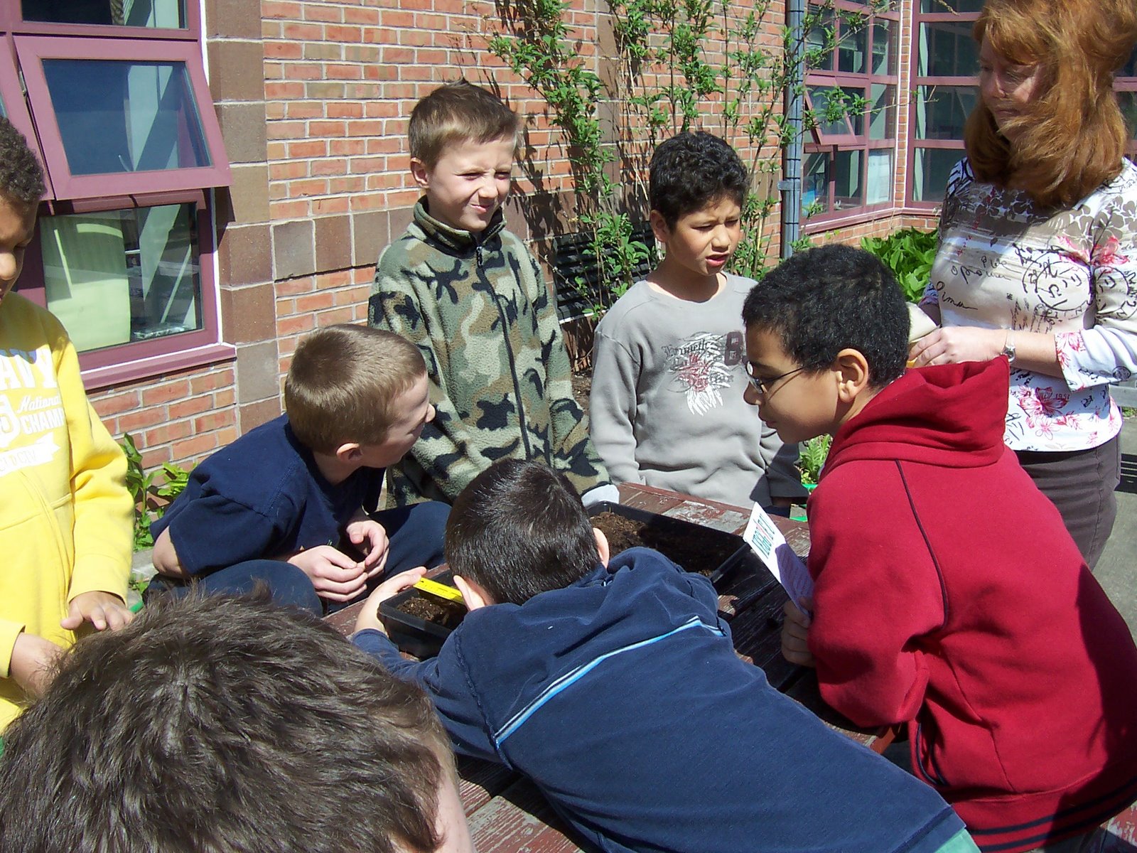 Ms. Sullivan's Third Grade