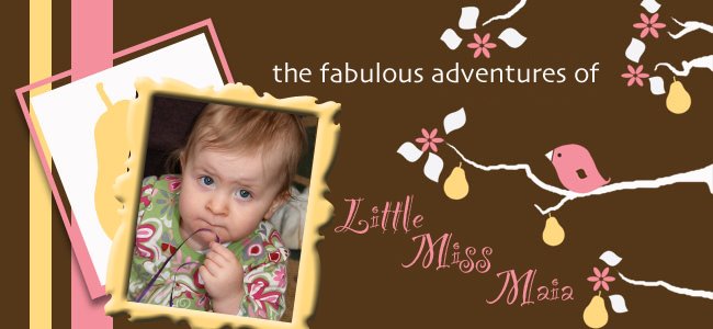 the fabulous adventures of little miss maia