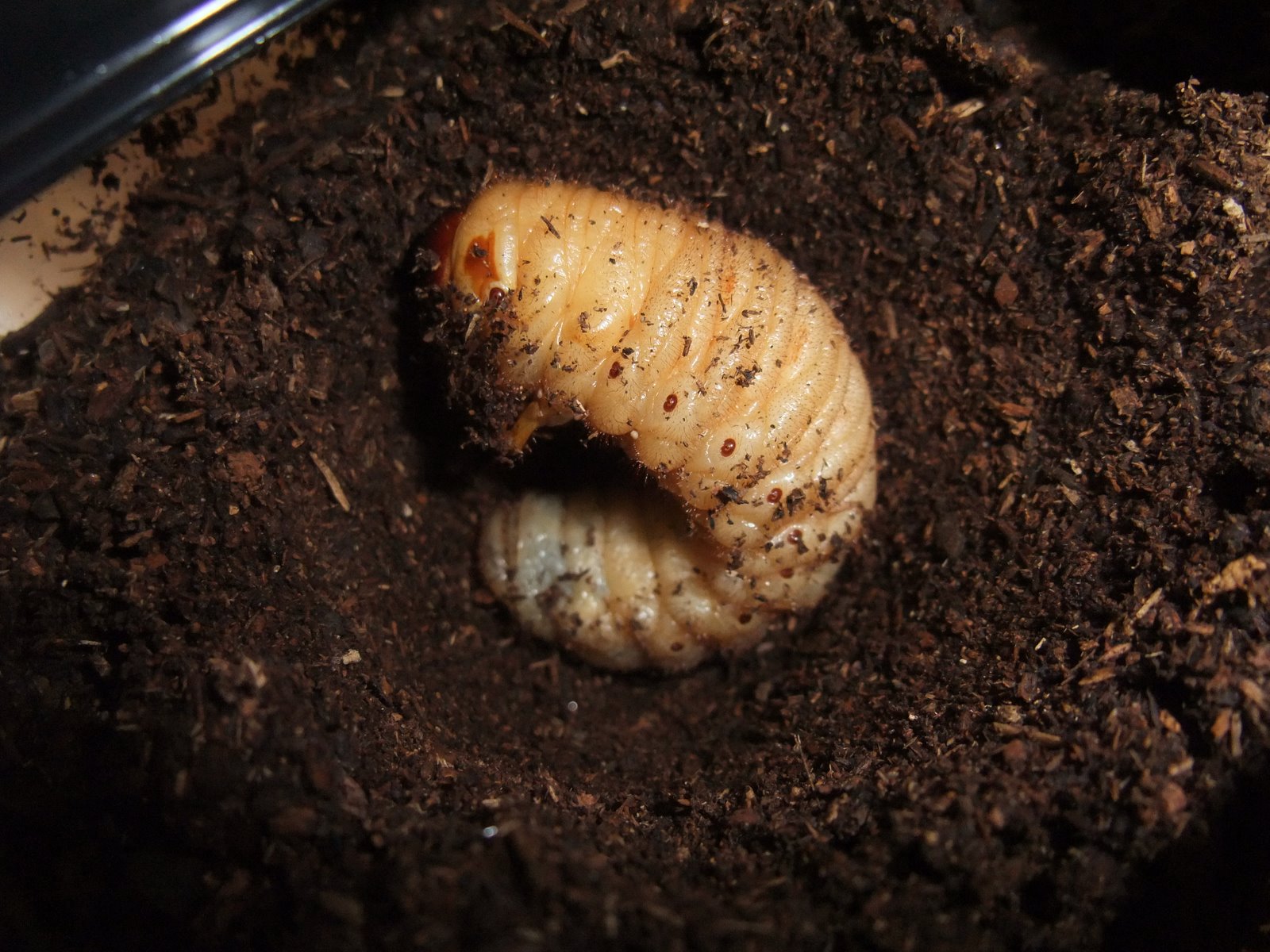 [Dc2009_0526_073509.JPG]