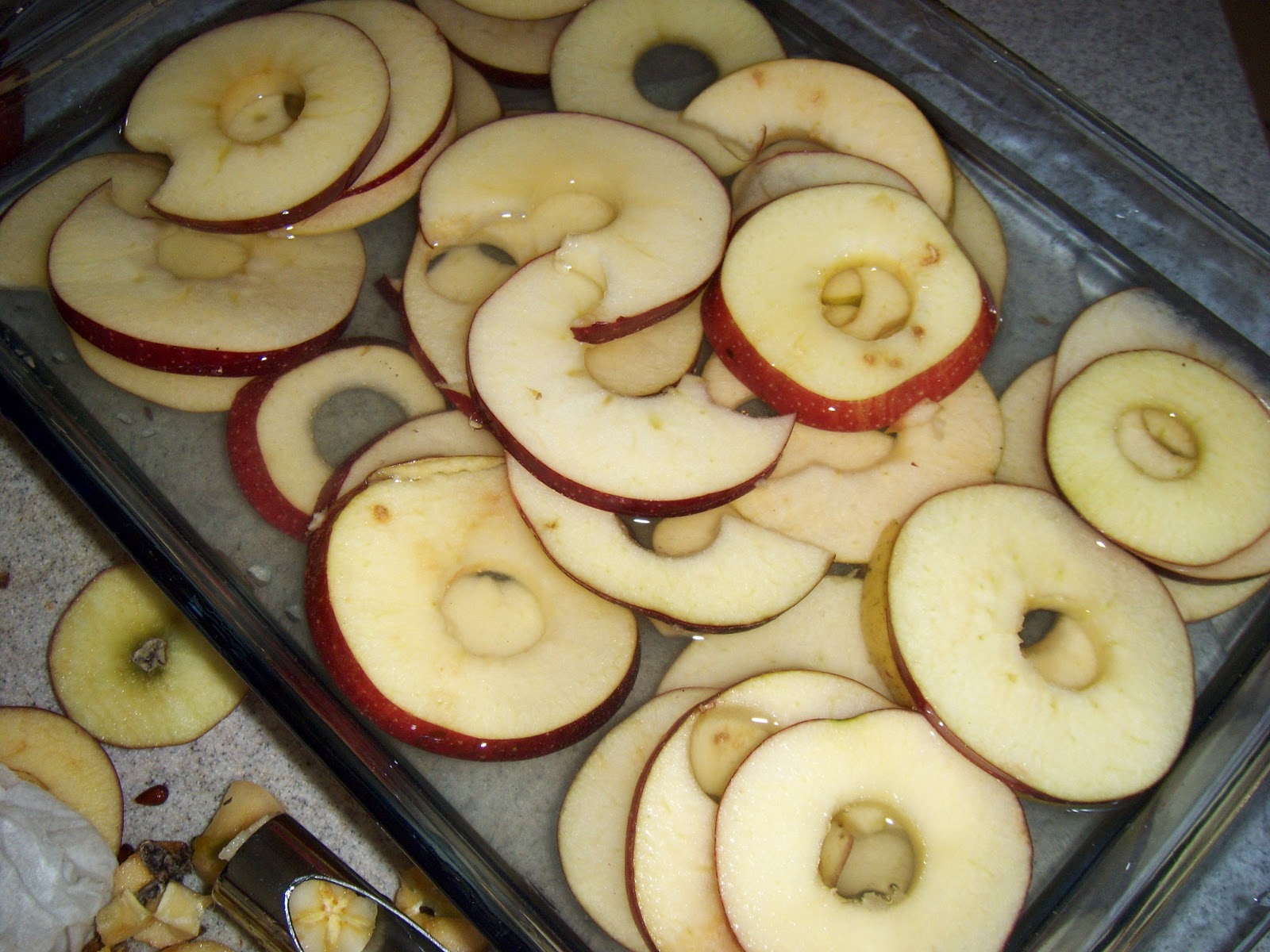 Mombo's Backyard Dehydrating Apples