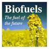 [biofuels.jpg]