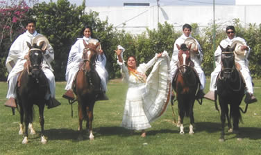 Caballo de Paso Peruano