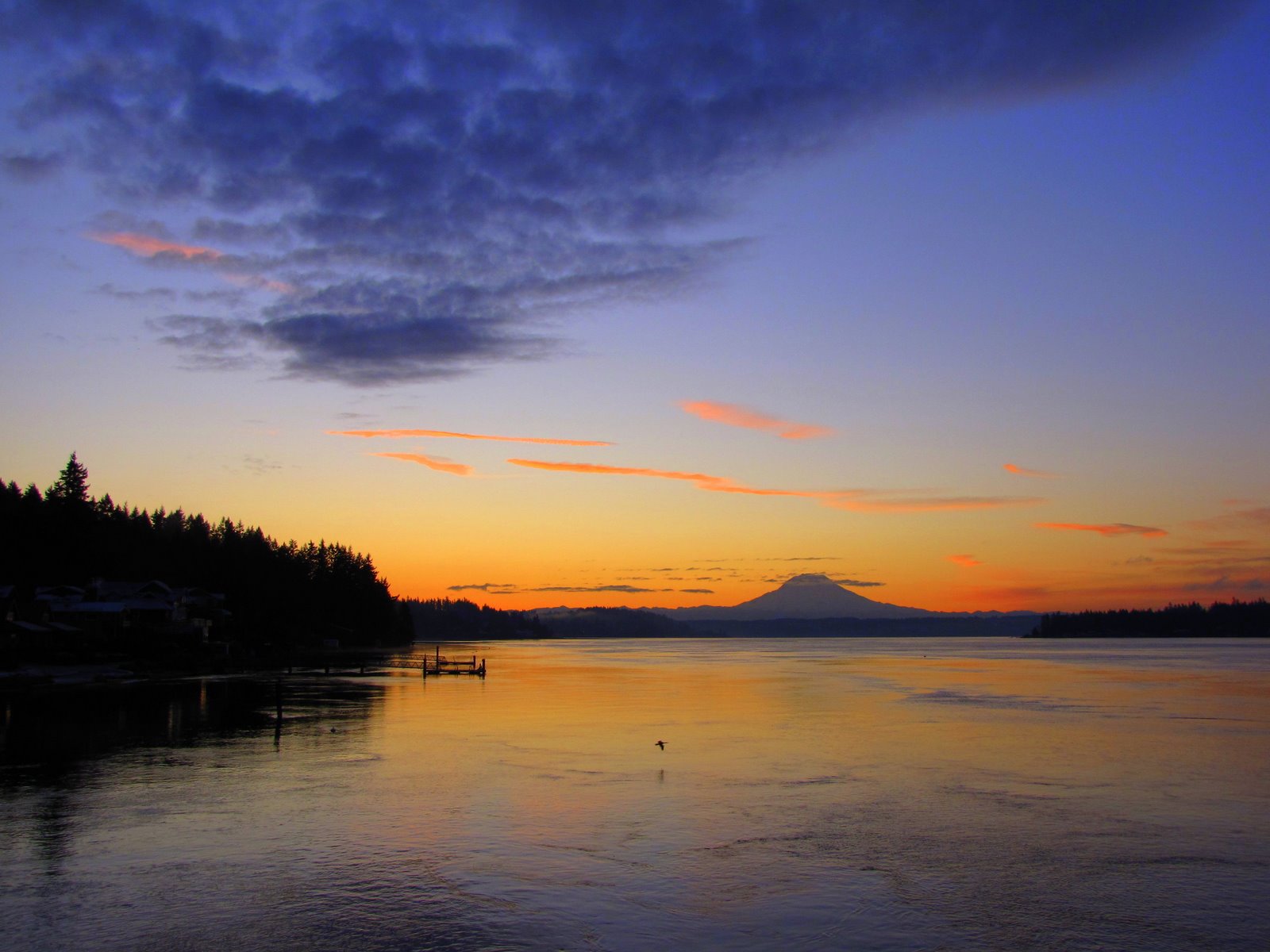 [IMG_9413.JPG]