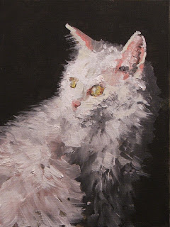 white cat, oil painting, Stephen Scott