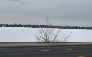 Frozen lake Loveland