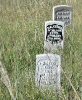 Custer's Marker distinguised by a black face