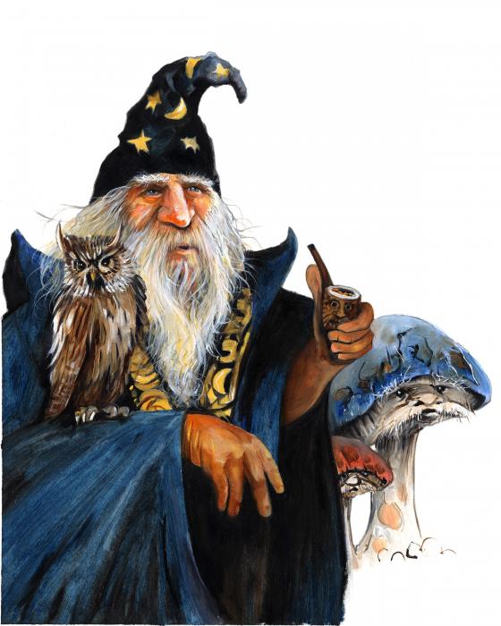 Crazy Wizard Crazy Wizard