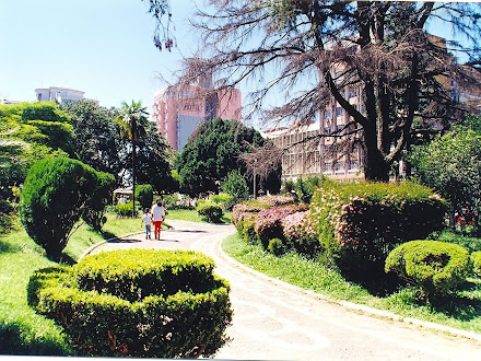 plaza internacional