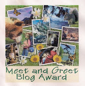 Blog award