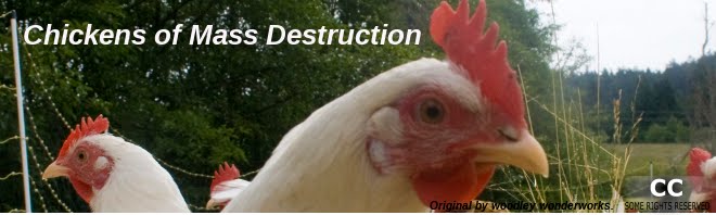 Chickens of Mass Destruction