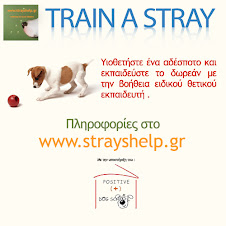 Train a Stray