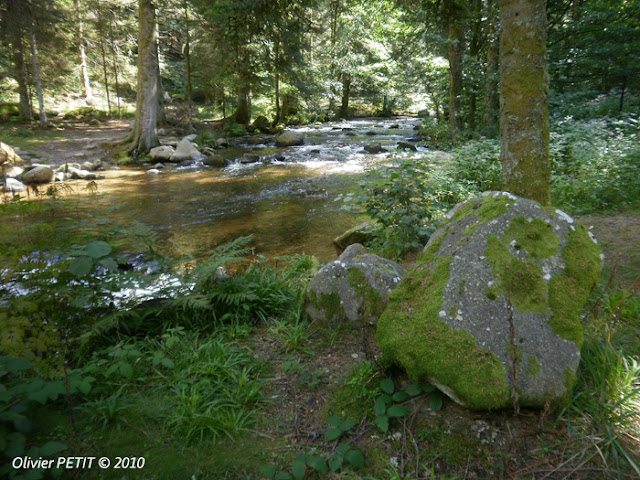 GERARDMER (88) - Le sentier écologique des Perles de la Vologne GERARDMER (88) - Le sentier écologique des Perles de la Vologne
