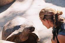 Tortugas gigantes de Zanzibar