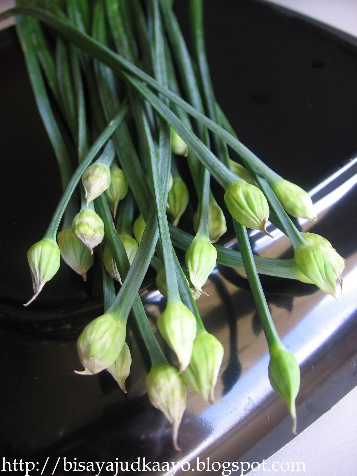 Inato lang Filipino Cuisine and More NIRA ITAME (STIR FRY CHIVES)