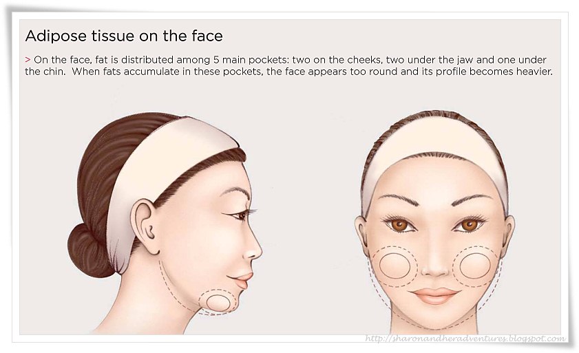 yoldaş Hattatlık sersemlemiş Sharon and her adventures...: Review: Clarins Shaping Facial Lift Lipo-drain serum yoldaş Hattatlık sersemlemiş Sharon and her adventures...: Review: Clarins Shaping Facial Lift Lipo-drain serum
