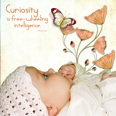 Curiosity4.jpg