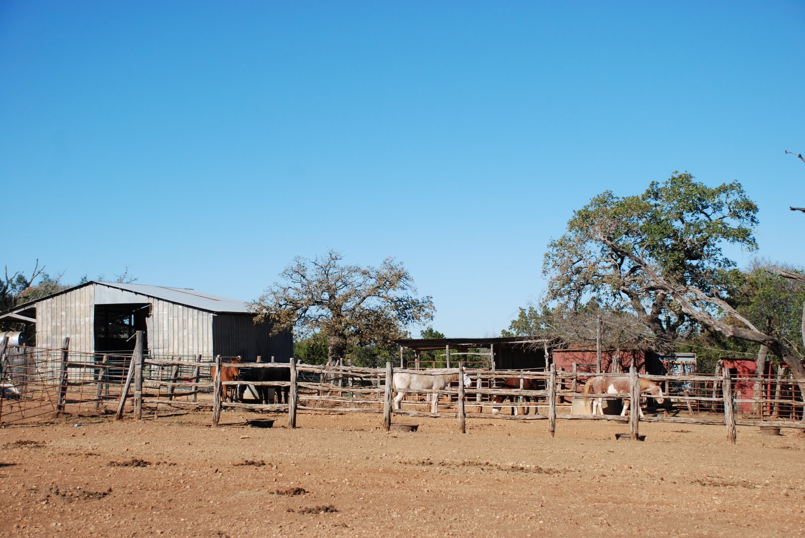 Bandera texas thanksgiving 2024