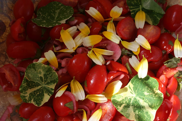 Baby plum tomatoes, red onions pickled in green chilli and red wine vinegar, calendula petals and geranium leaves