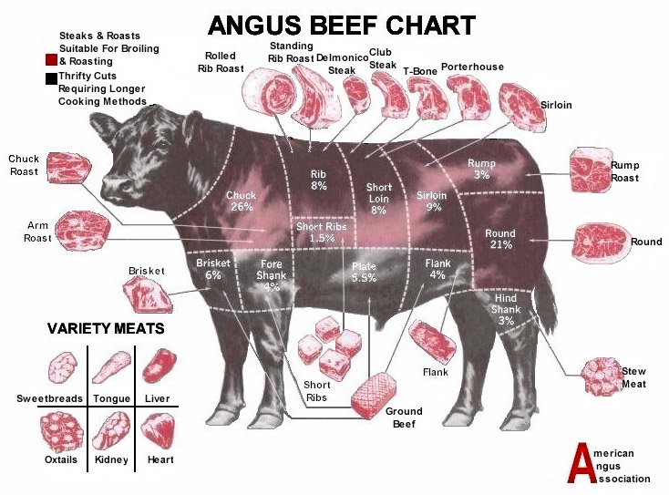 Beef Cuts Chart | Grill Thrill