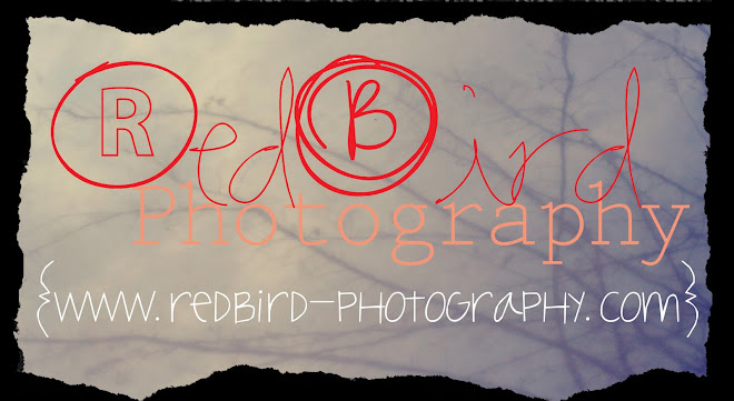 redbird photography