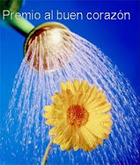 Premio Buen Corazon