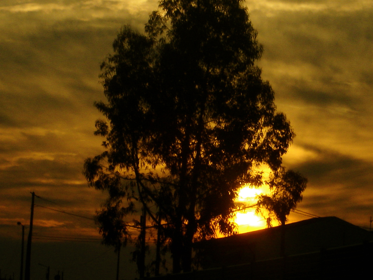 [DSC00379.JPG]