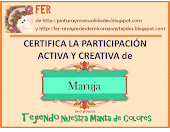 Certificado Mi Manta de Colores