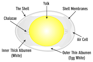 Gs Blogspot: A simple complexity