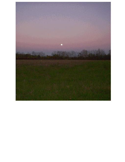 Hunter's Moon at Dusk 2010