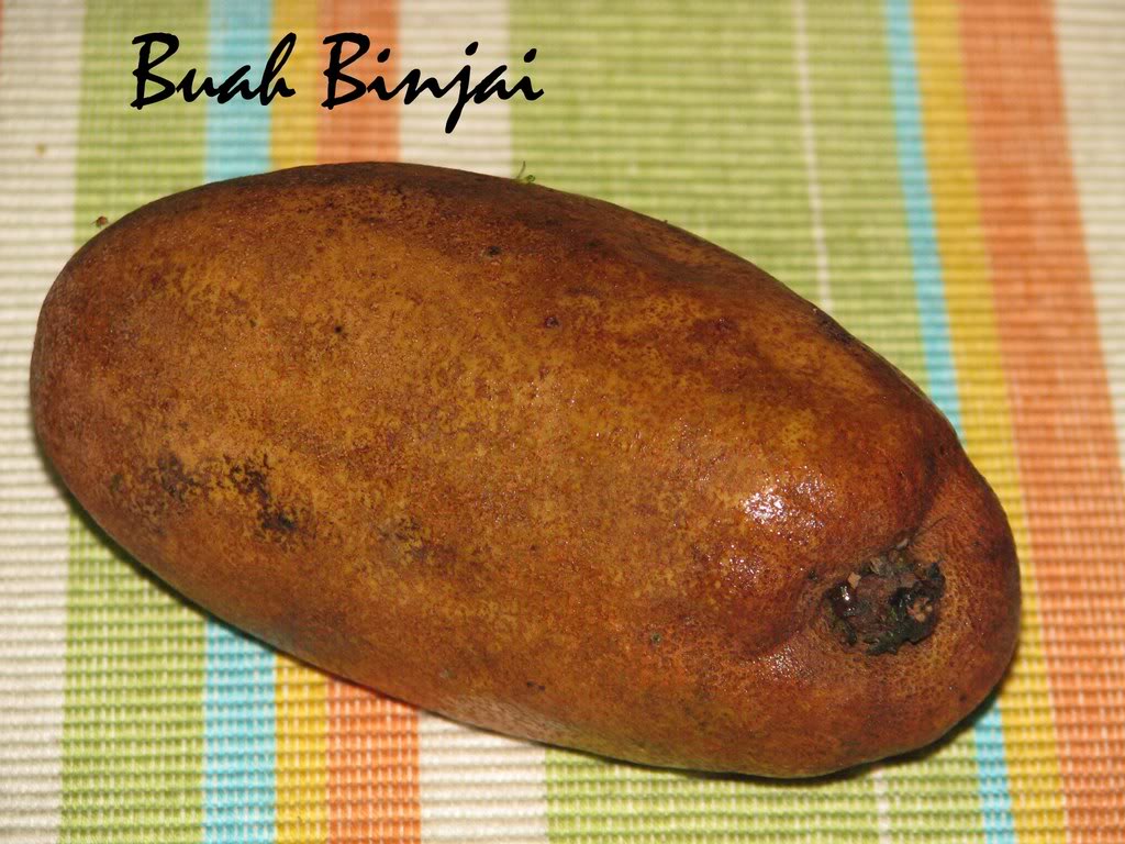 kaanas binjai