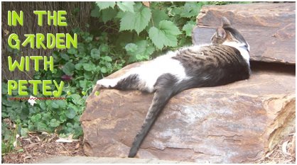 In the garden with Petey