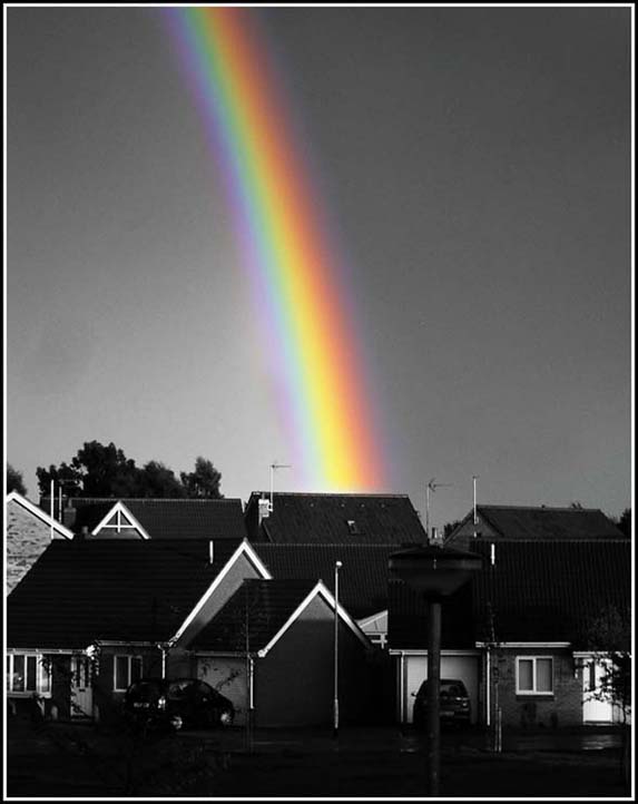 [Rainbow__by_AshAreBetter.jpg]