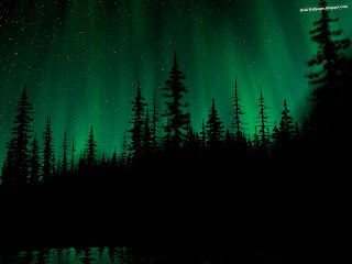 Aurora Over The Dark Forest wallpapers