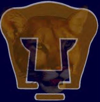 [pumas2.jpg]