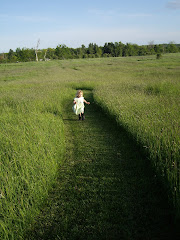 The Path