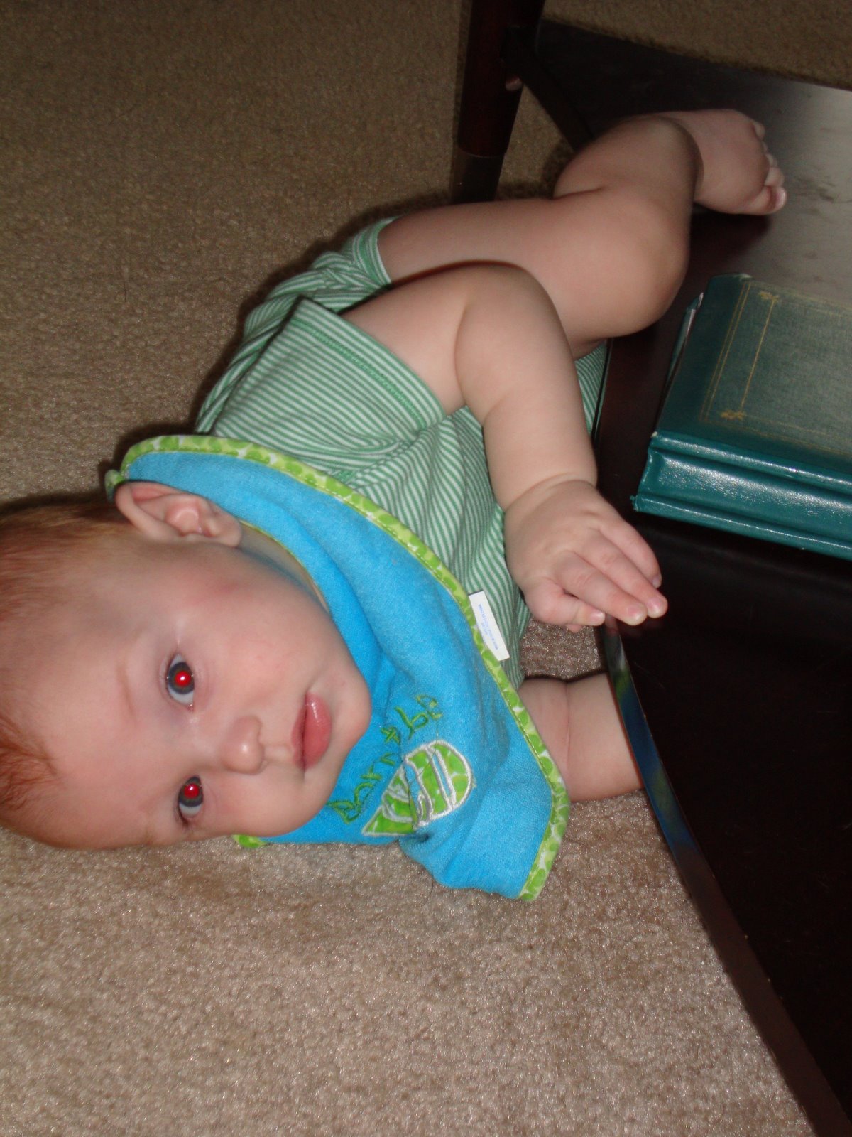 [DSC00017.JPG]
