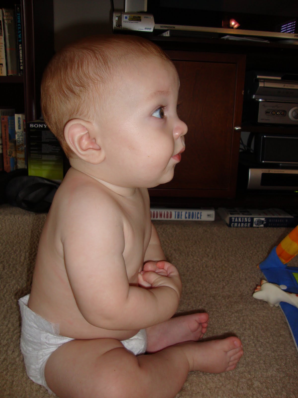 [DSC00149.JPG]