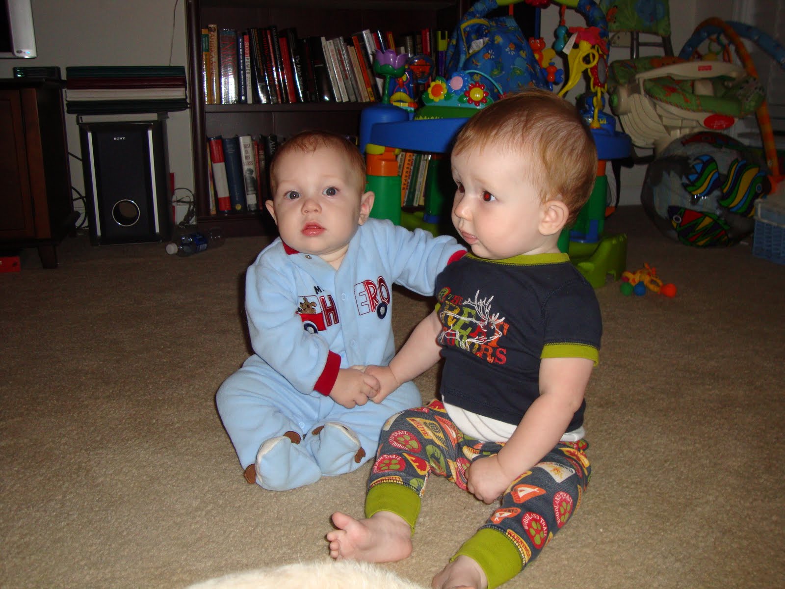 [DSC00309.JPG]