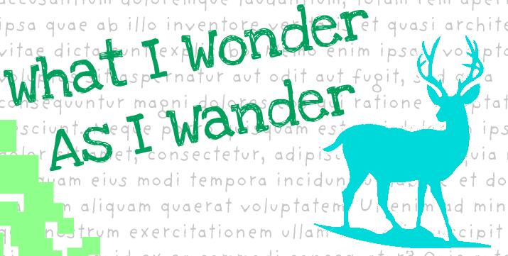 What I Wonder as I Wander