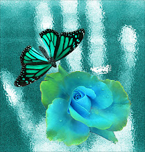 Butterfly Dreams by Joe