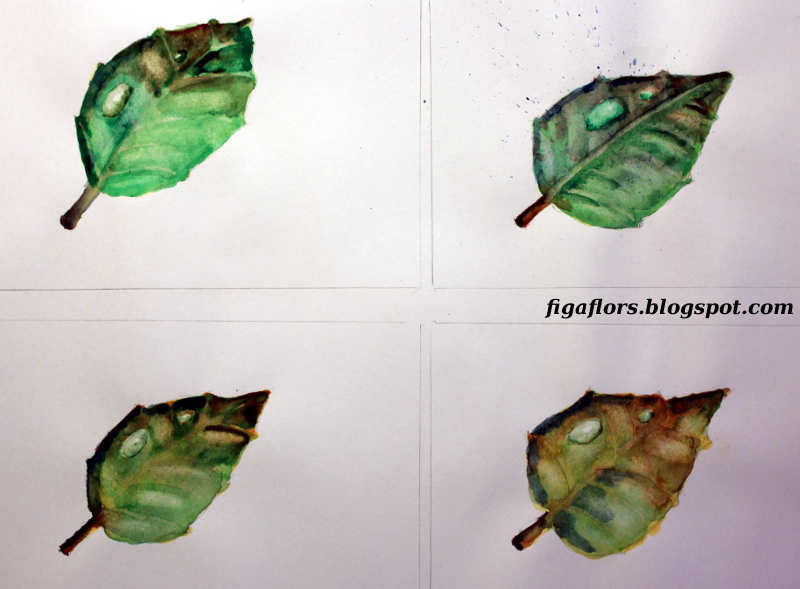 Figaflors I Braves Watercolor Wednesday Leaves