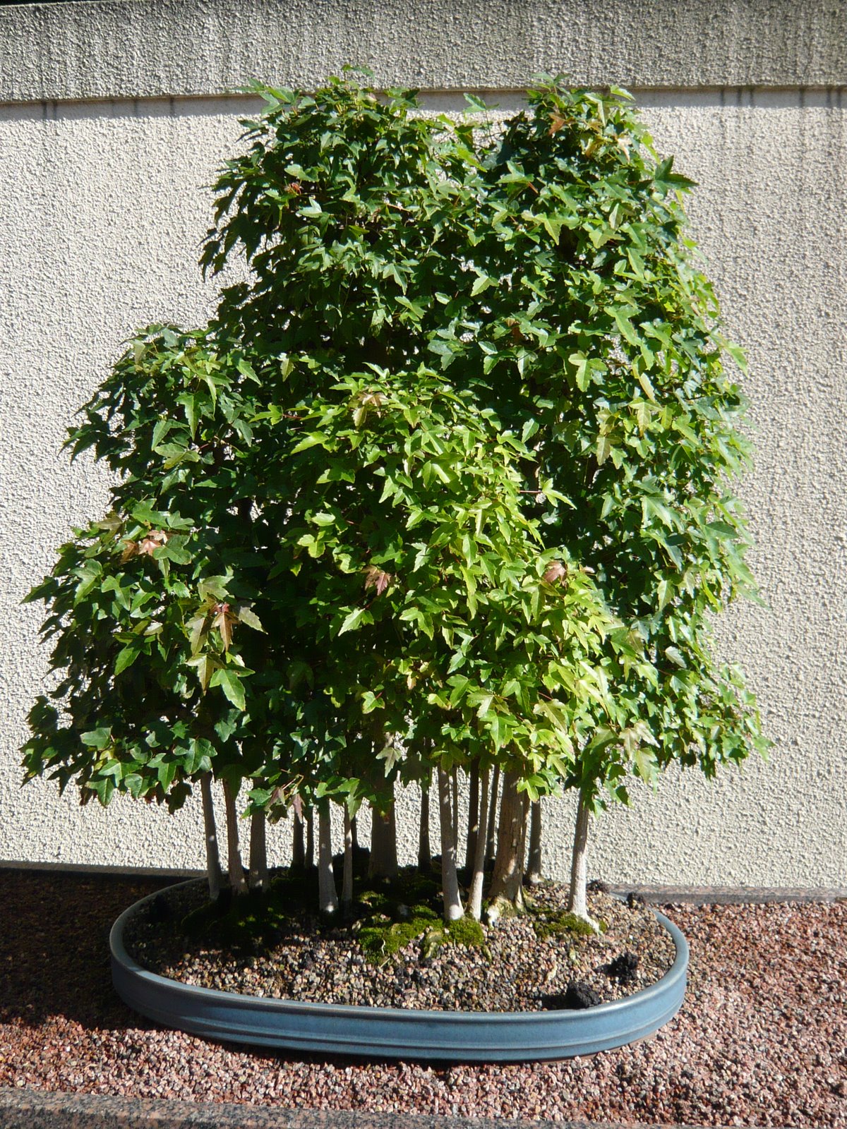 [P1070002.JPG]