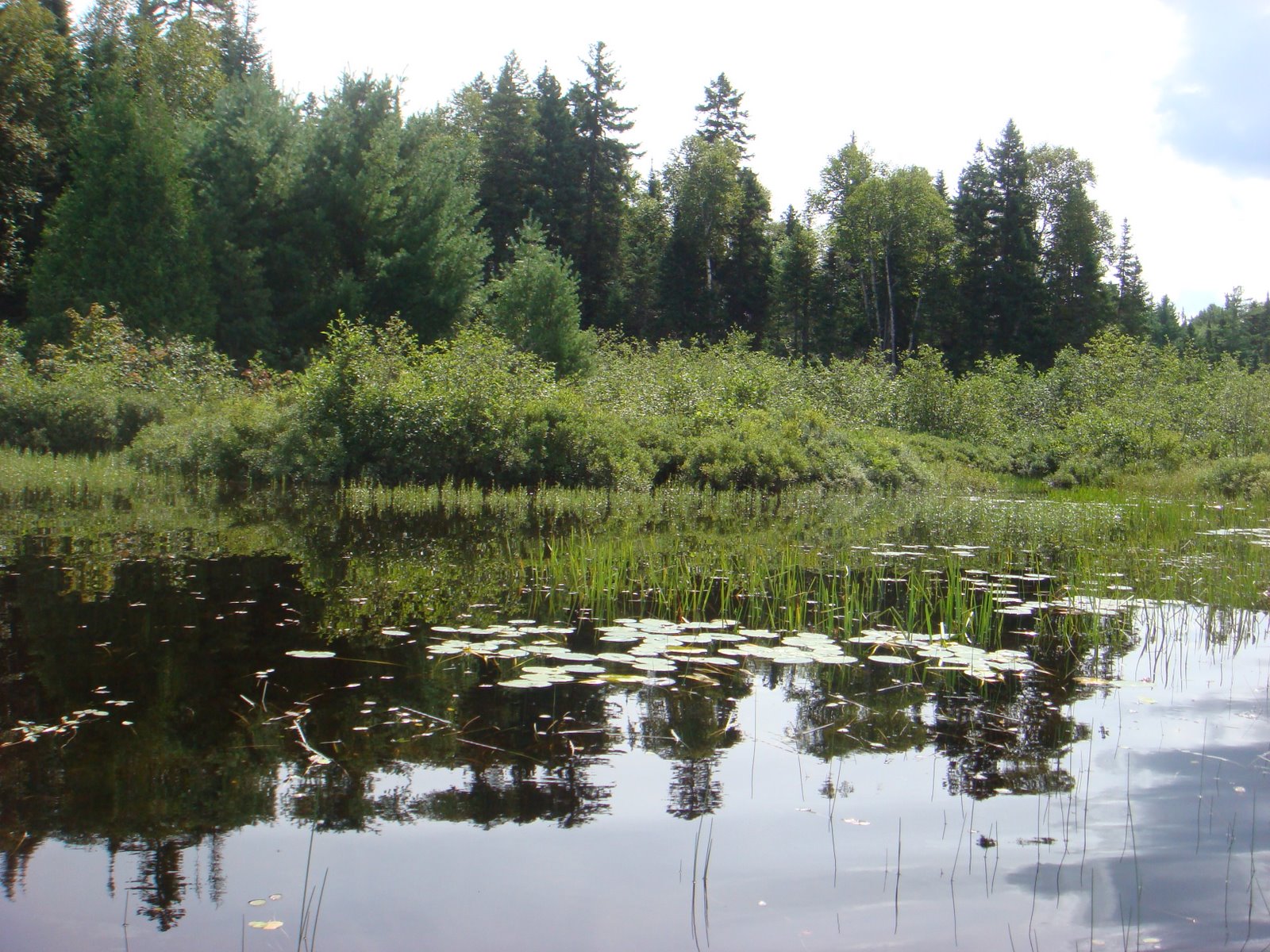 [DSC01780.JPG]