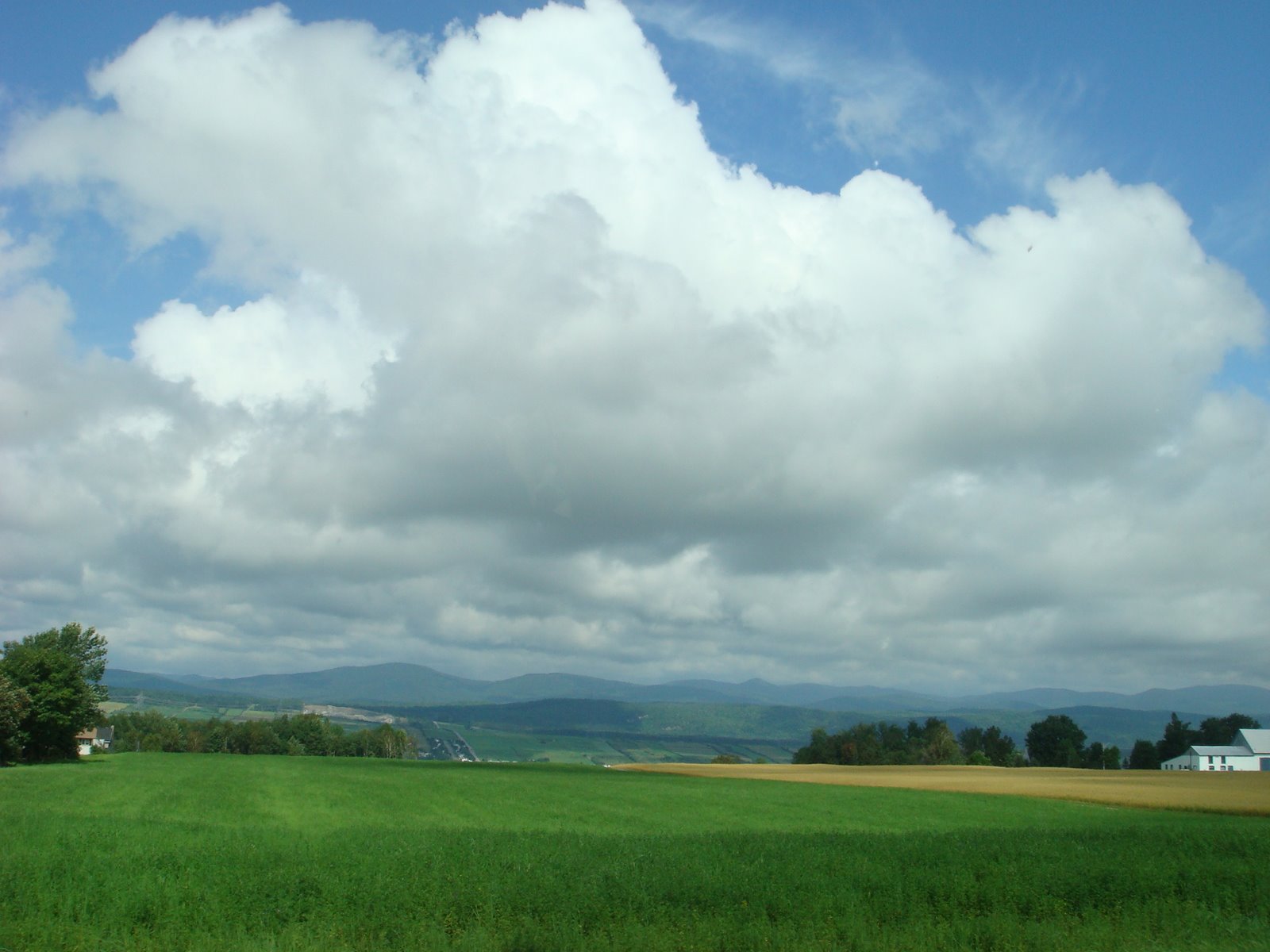 [DSC01699.JPG]