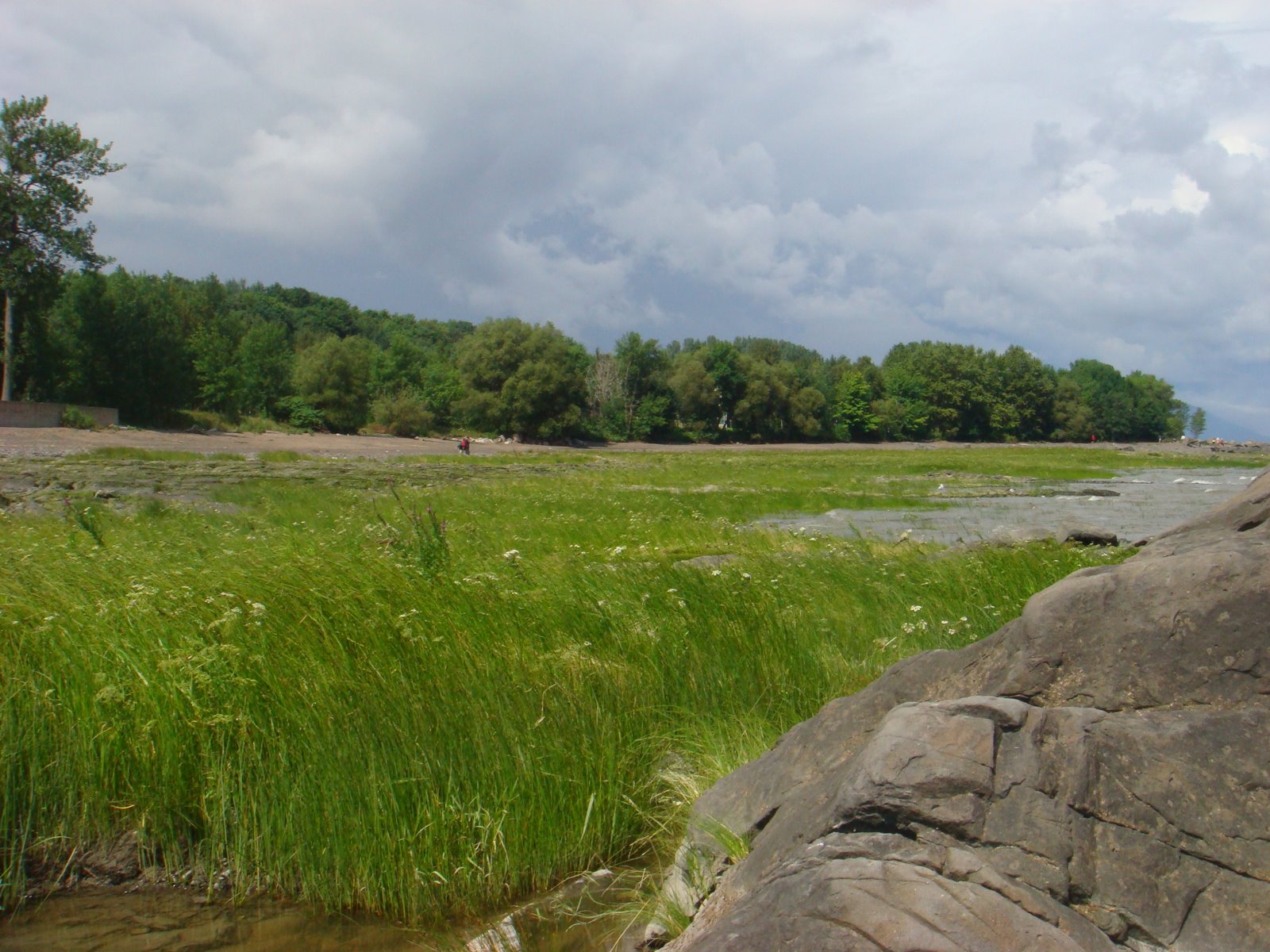 [DSC01732.JPG]