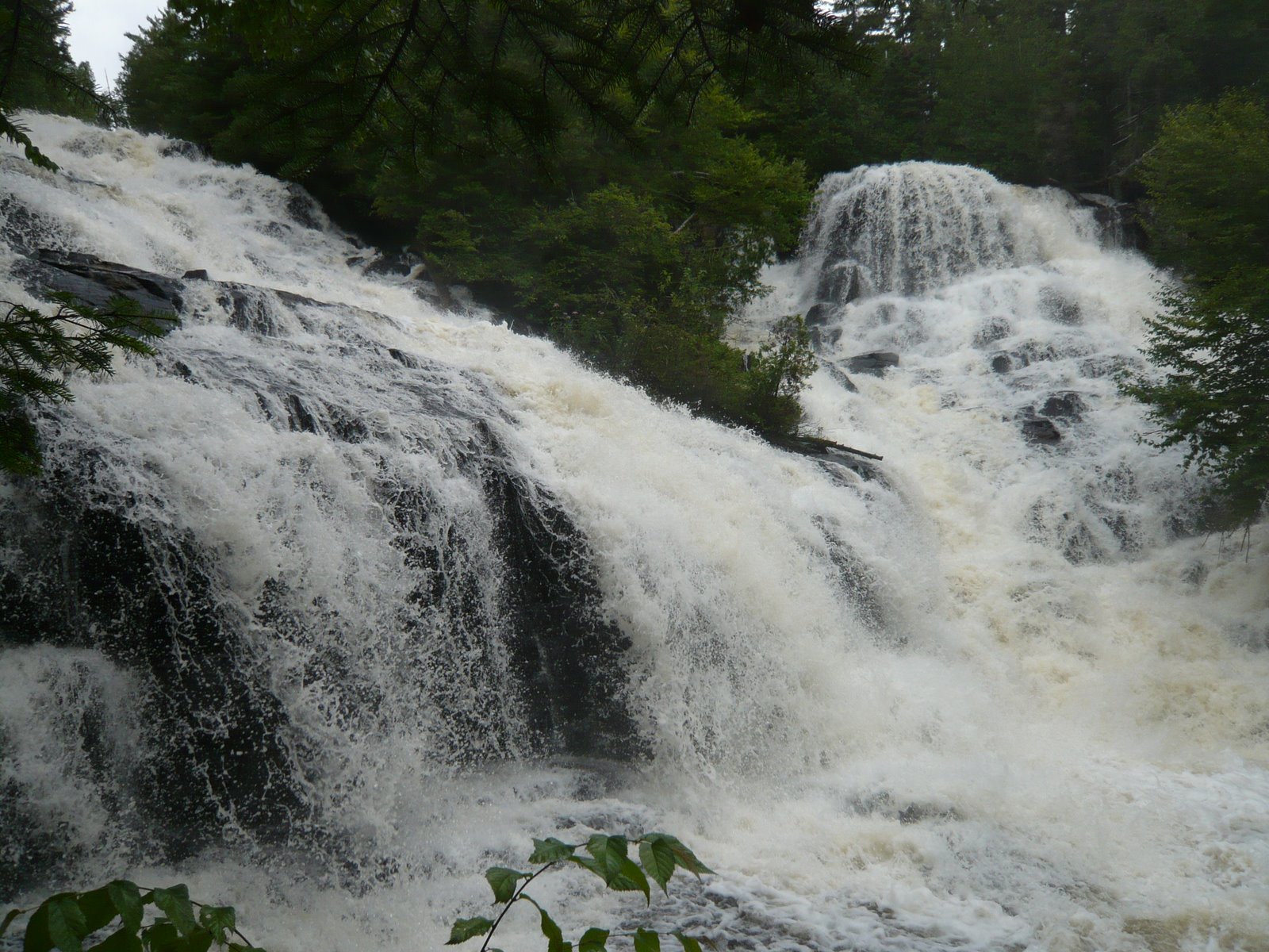 [P1050888.JPG]