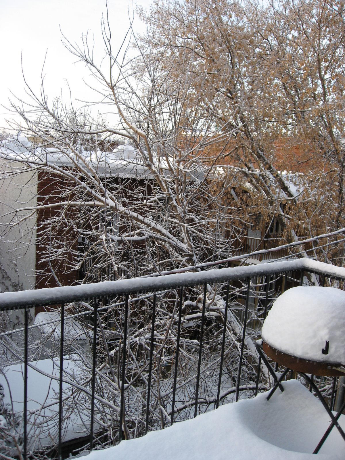 [IMG_0162.JPG]