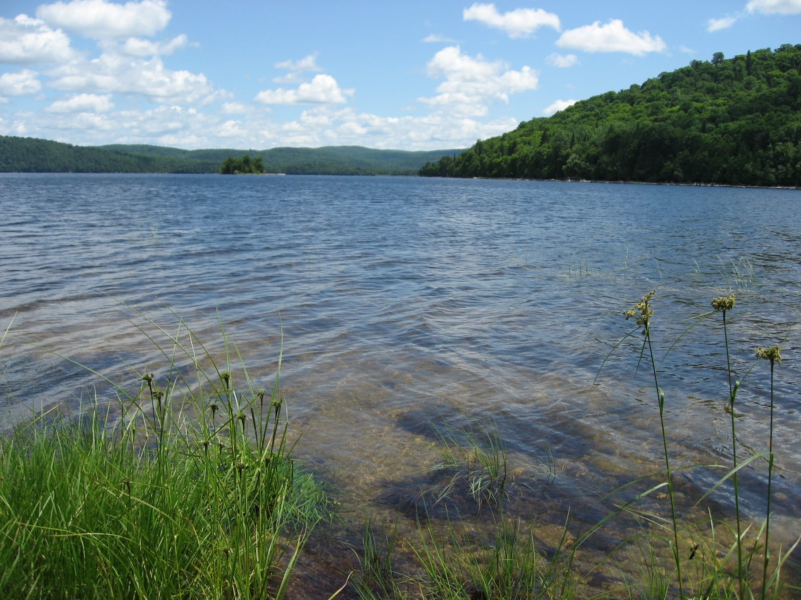 [IMG_1505.JPG]